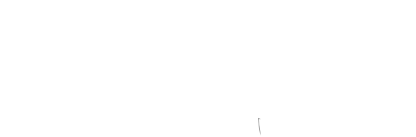 logo footer